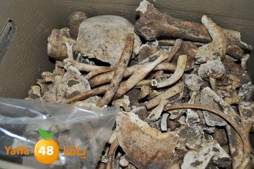 maqbara mamlokeya (5).jpg